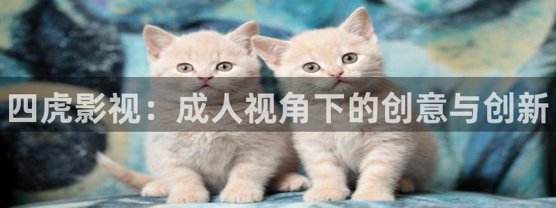 天天精品视频免费影院